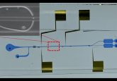 Microfluidics