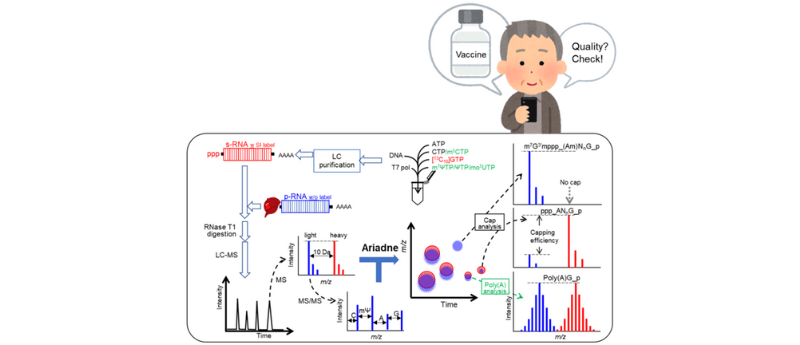 Mass Spectrometry Explained How LC MS MS Works PerkinElmer 43 OFF