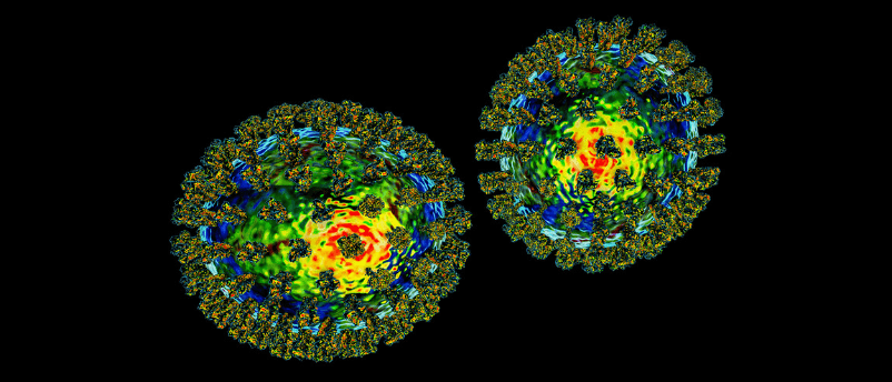 Multiparameter flow cytometry as a powerful tool in drug development ...