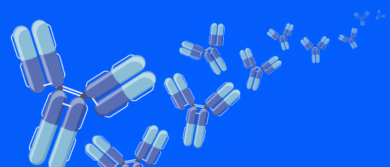 Monoclonal antibody production