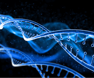 Gyrolab platform for oligonucleotide therapies