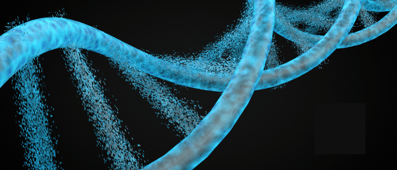 oligo hybridization oligo hybridization microfluidic assays oligonucleotide-based therapeutics