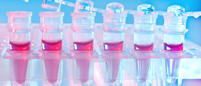 immunogenicity ADA Assays Safety and efficacy