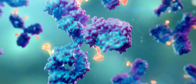 Antibody drug conjugates ADC drug development  Pharma / Biotech Bioanalysis strategies