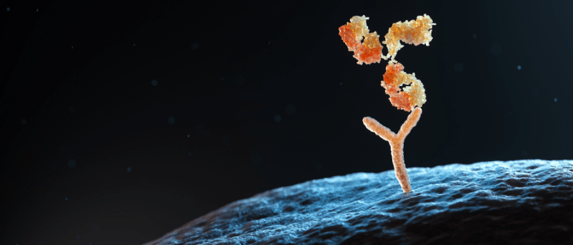 kinetic antibodies