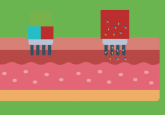 microneedle