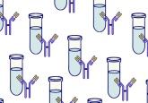 " A grid pattern of blue test tubes overlapped by a single purple antibody."