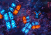 The capabilities of KCAS Bio: PK, biomarkers and immunogenicity testing all under one roof