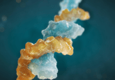 Advanced analytical assays for bioanalysis of oligonucleotides