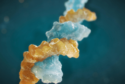Advanced analytical assays for bioanalysis of oligonucleotides