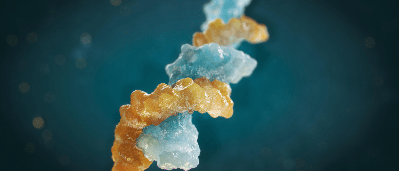 Advanced analytical assays for bioanalysis of oligonucleotides