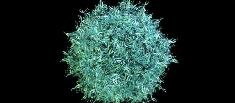 Unveiling the Secrets of Adeno-Associated Virus: Novel High-Throughput Approaches for the Quantification of Multiple Serotypes