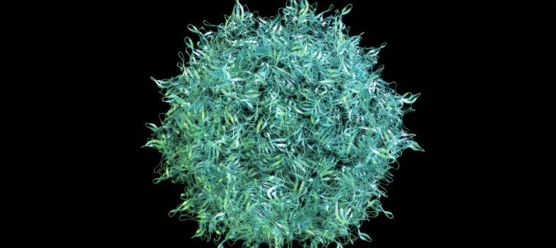 Unveiling the Secrets of Adeno-Associated Virus: Novel High-Throughput Approaches for the Quantification of Multiple Serotypes